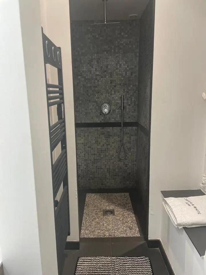 Appartement Cannes Centre - Palais Du Festival Dış mekan fotoğraf