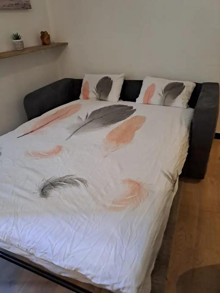 Appartement Cannes Centre - Palais Du Festival Dış mekan fotoğraf